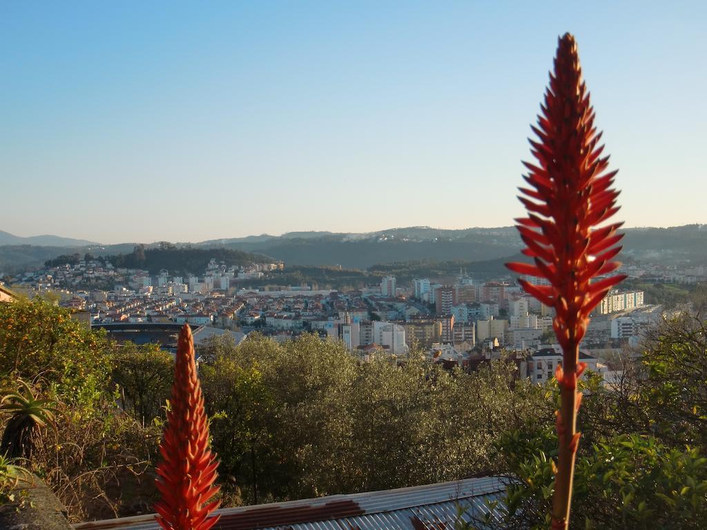 Csi Coimbra & Guest House - Student Accommodation Εξωτερικό φωτογραφία